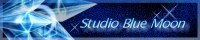 Studio BuleMoon Banner